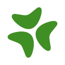 Bloomerang logo