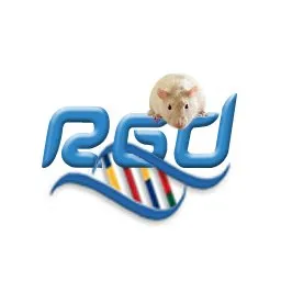 Rat Genome Database